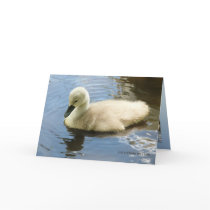 Softness of a Child Greeting Card