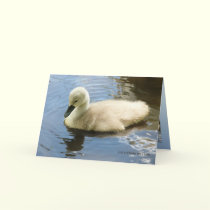 Softness of a Child cards by MoiraAshleigh Softness of a Child cards