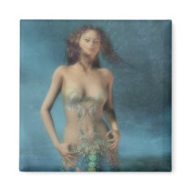 Softness of the Sea Maiden magnets