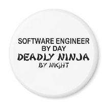 Software Engineer Deadly Ninja Magnets