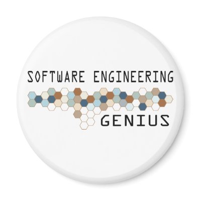 Software Engineering Genius Refrigerator Magnet by itsallhot