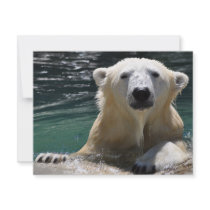 Soggy Polar Bear invitations