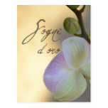 Sogni D'oro (sweet dreams) Orchid Post Card