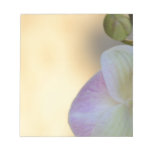 Sogni D'oro (sweet dreams) Orchid Scratch Pad