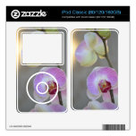 Sogni D'oro (sweet dreams) Orchid iPod Classic Skins