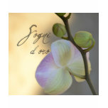Sogni D'oro (sweet dreams) Orchid Tshirts