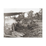 Sogrum Post Cards