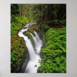 Sol Duc Falls in Olympic National Park in Posters