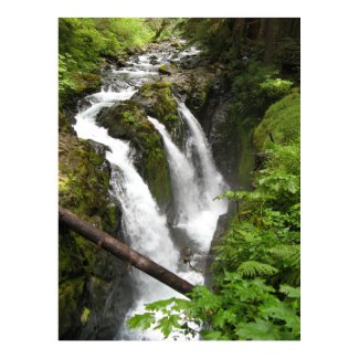 Sol Duc Falls print