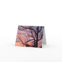 sol, Greetings from Solterra cards