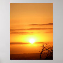 SOL Zesty Poster