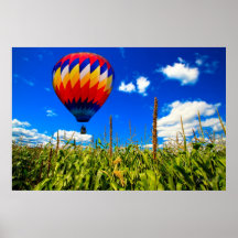Solamente sobre los globos del aire caliente del c poster
