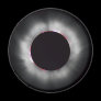 Solar Eclipse, 1999 Refrigerator Magnet