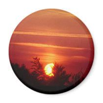 Solar Eclipse magnets