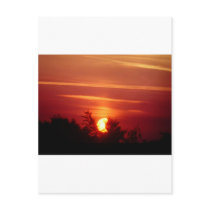 Solar Eclipse postcards