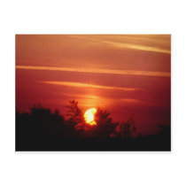 Solar Eclipse postcards