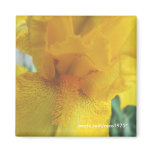 Solar flare fridge magnets