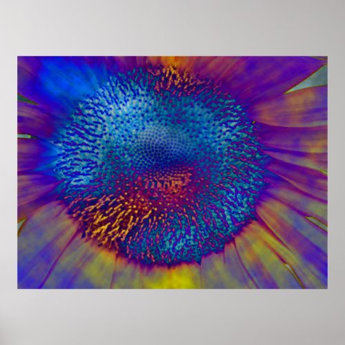 Solar Flux print