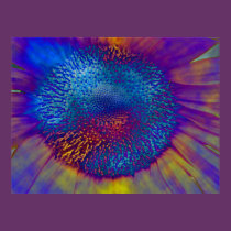 Solar Flux posters