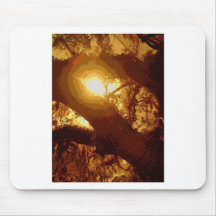 solar moss mouse pads
