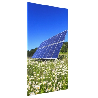 Solar Panels and green meadow