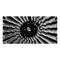 Solar Plexes - Silver Star Photo Card