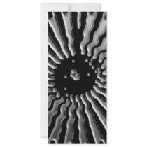 Solar Plexes - Silver Star Rack Card Design