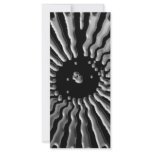 Solar Plexes - Silver Star rack cards