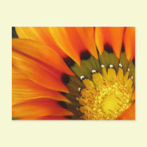 Solar postcards