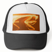 Solar Praying Mantis(Hat) hats