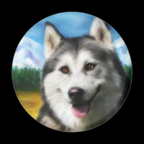 Solar Siberian Husky magnets