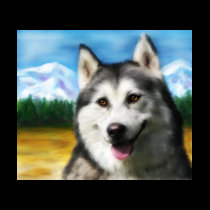 Solar Siberian Husky t-shirts
