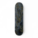 SOLARBOARD SKATE DECKS