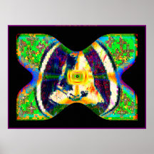 SOLARi8UTTERFLY Posters