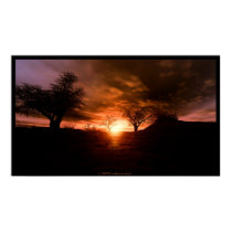 Solaria posters