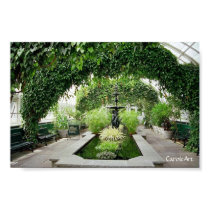 Solarium Garden Print