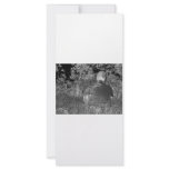 Solarized negative photograph of solo figure rack cards