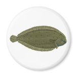 Sole Fridge Magnet