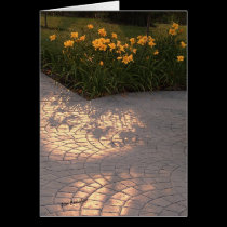 Soleil et fleurs et ombres cards