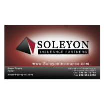 Soleyon Business Card Template