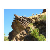 Solid as a rock San Jacinto Andreas Canyon posters