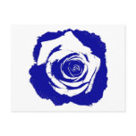 Solid Blue and White posterized rose bloom Postcards
