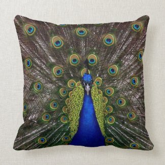 Solid color Peacock Pillow Designs