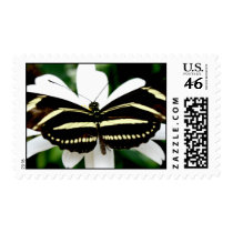 Solidarity Stamp