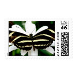 Solidarity Stamp