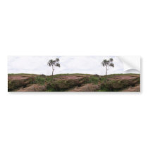 Solit�ria, Ela Representa A Natureza Sobrevivendo Bumper Sticker