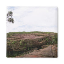 Solit�ria, Ela Representa A Natureza Sobrevivendo Refrigerator Magnets