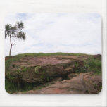 Solit�ria, Ela Representa A Natureza Sobrevivendo mousepads