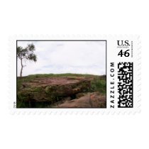 Solit�ria, Ela Representa A Natureza Sobrevivendo Postage
