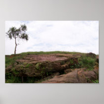 Solit�ria, Ela Representa A Natureza Sobrevivendo Print
